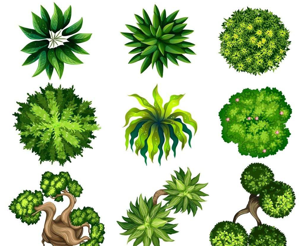 可以凈化室內(nèi)空氣的植物，這二十種您需要好好了解一下！